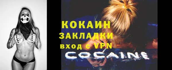 стафф Новодвинск