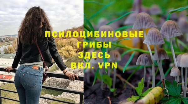молекула духа Нея