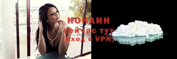 стафф Новодвинск