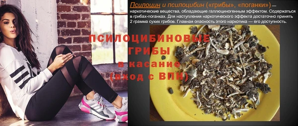 молекула духа Нея