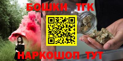 ECSTASY Гатчина