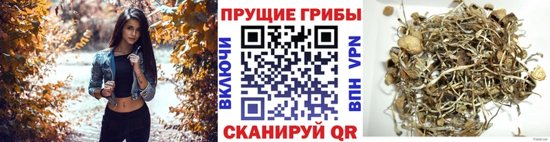 мега сайт  Калач-на-Дону  Галлюциногенные грибы мухоморы 