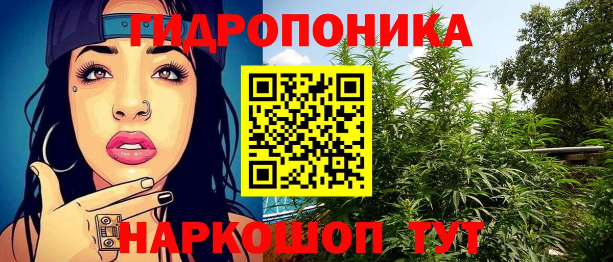 Шишки марихуана конопля  Шишки марихуана планчик  Калач-на-Дону  Каннабис Bruce Banner  Вход с VPN 